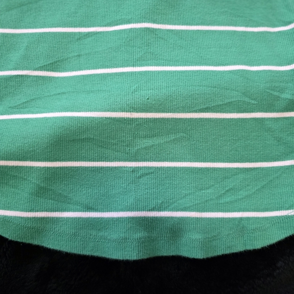 Talbots Green and White Striped Short Sleeve Tee - Picture 5 of 6
